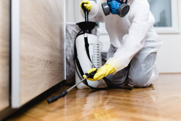 Best Flea Control Services  in Huntsville, MO