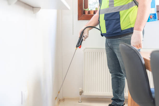 Best Local Pest Control Services  in Huntsville, MO