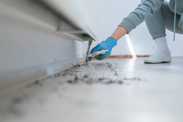 Best Pest Removal Services  in Huntsville, MO